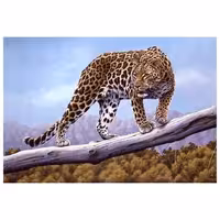 حیوانات مدل پلنگ کد 26038