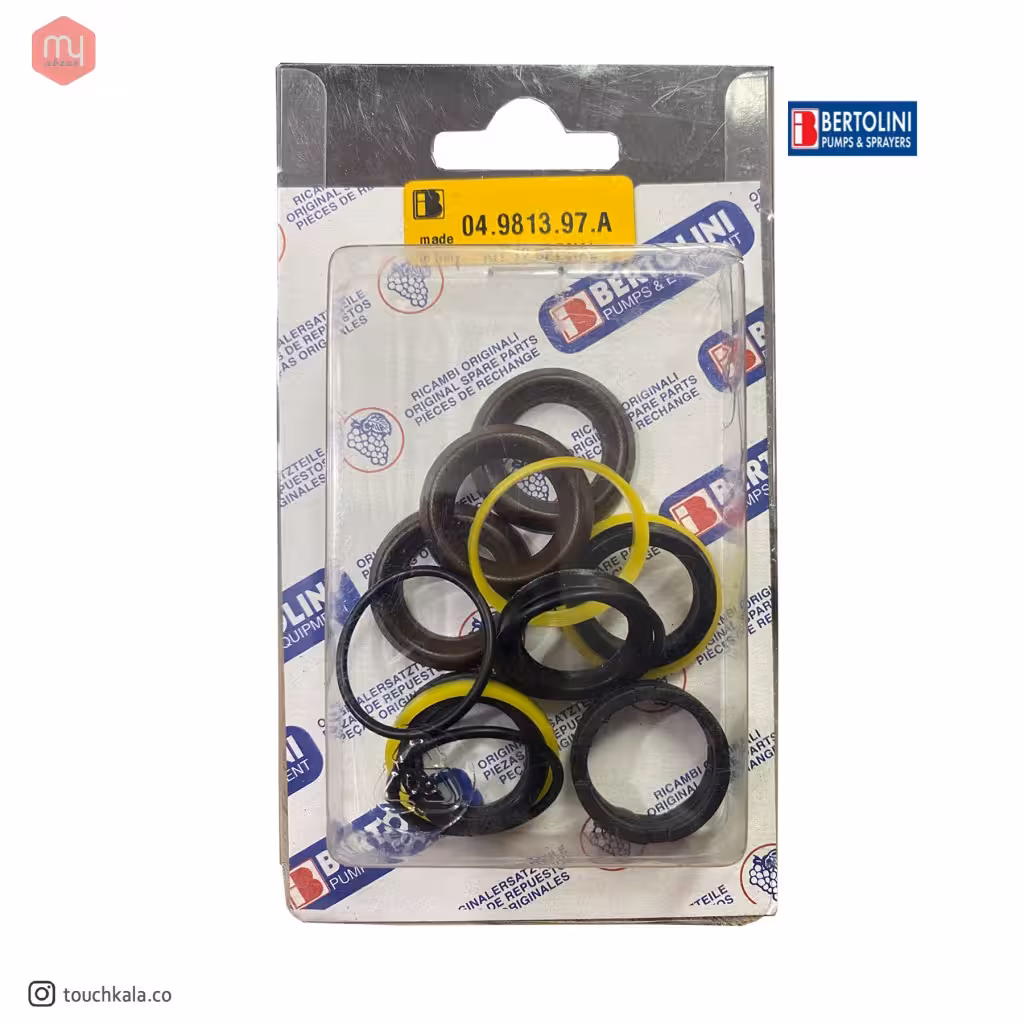 پکینگ پمپ کارواش برتولینی 110 بار اصلی