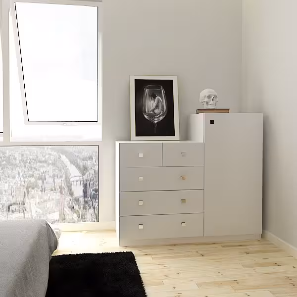 ارگانایزر مدل FH241