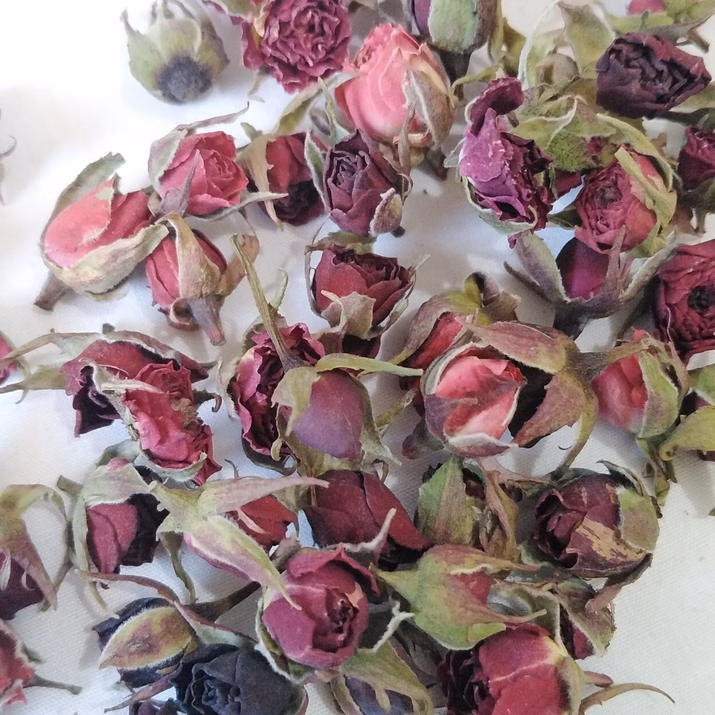 گل خشک رز مینیاتوری قرمز 