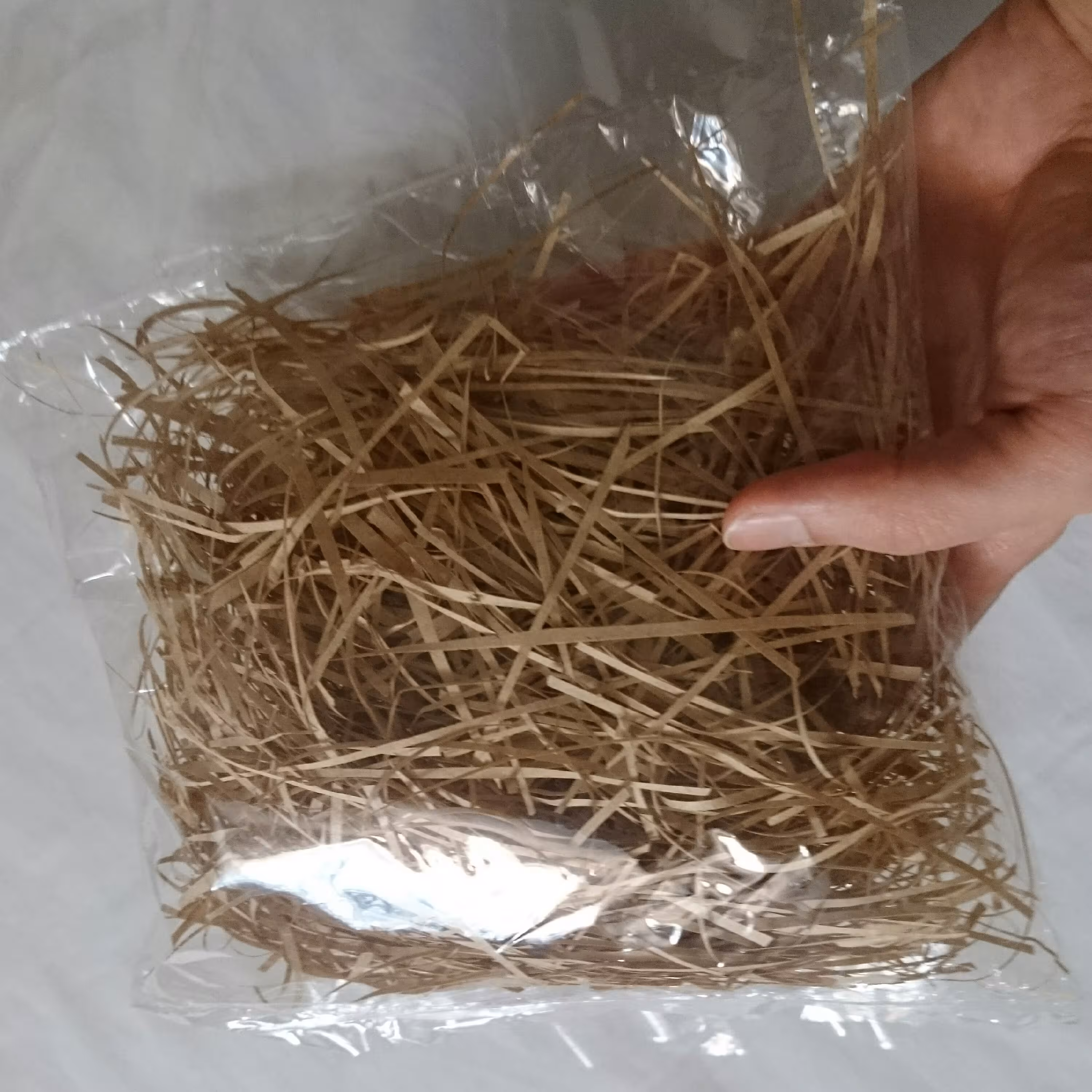 پوشال کاغذی