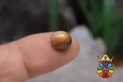 سنگ خورشید (سان استون )