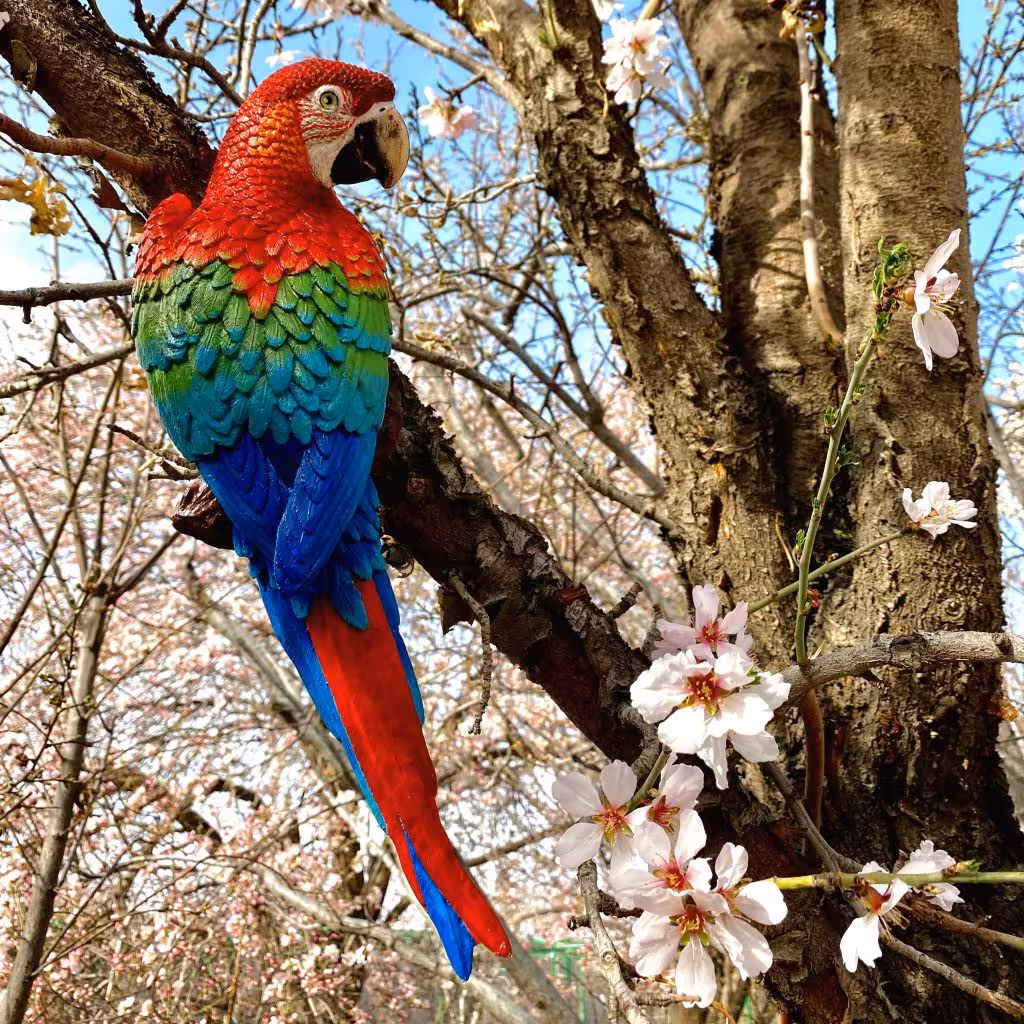 مجسمه طوطی شادرنگ