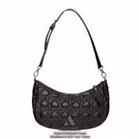 کیف زنانه Christian Dior Bag A01