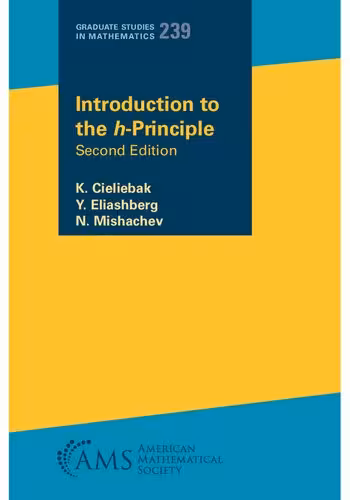 خرید و دانلود نسخه کامل کتاب Introduction to the h-Principle