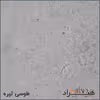 فایل اداری هیراد مدل F20-MDF