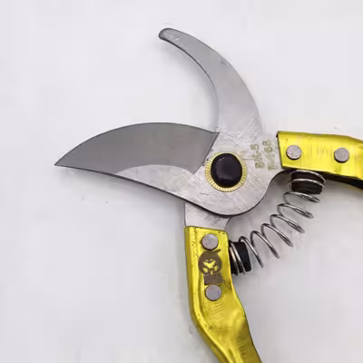 قیچی باغبانی مدل ایس راک کد YPT-2RANG-21CM