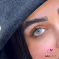 لنز چشم فصلی ایفوریا رنگ پیور گری  Euphoria Lenses Monthly Pure Gray color
