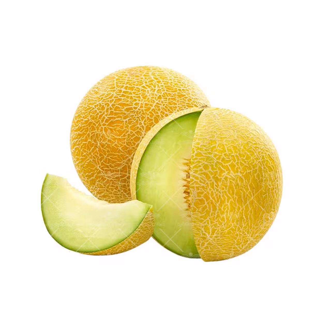 بذر ملون گالیا خانگی
