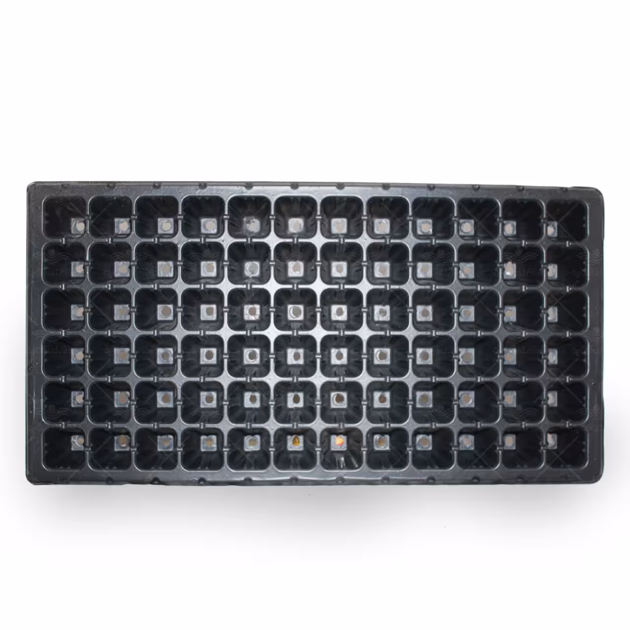 سینی نشاء یکبار مصرف 72 سلول حفره بزرگ