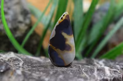 عقیق شجر هند