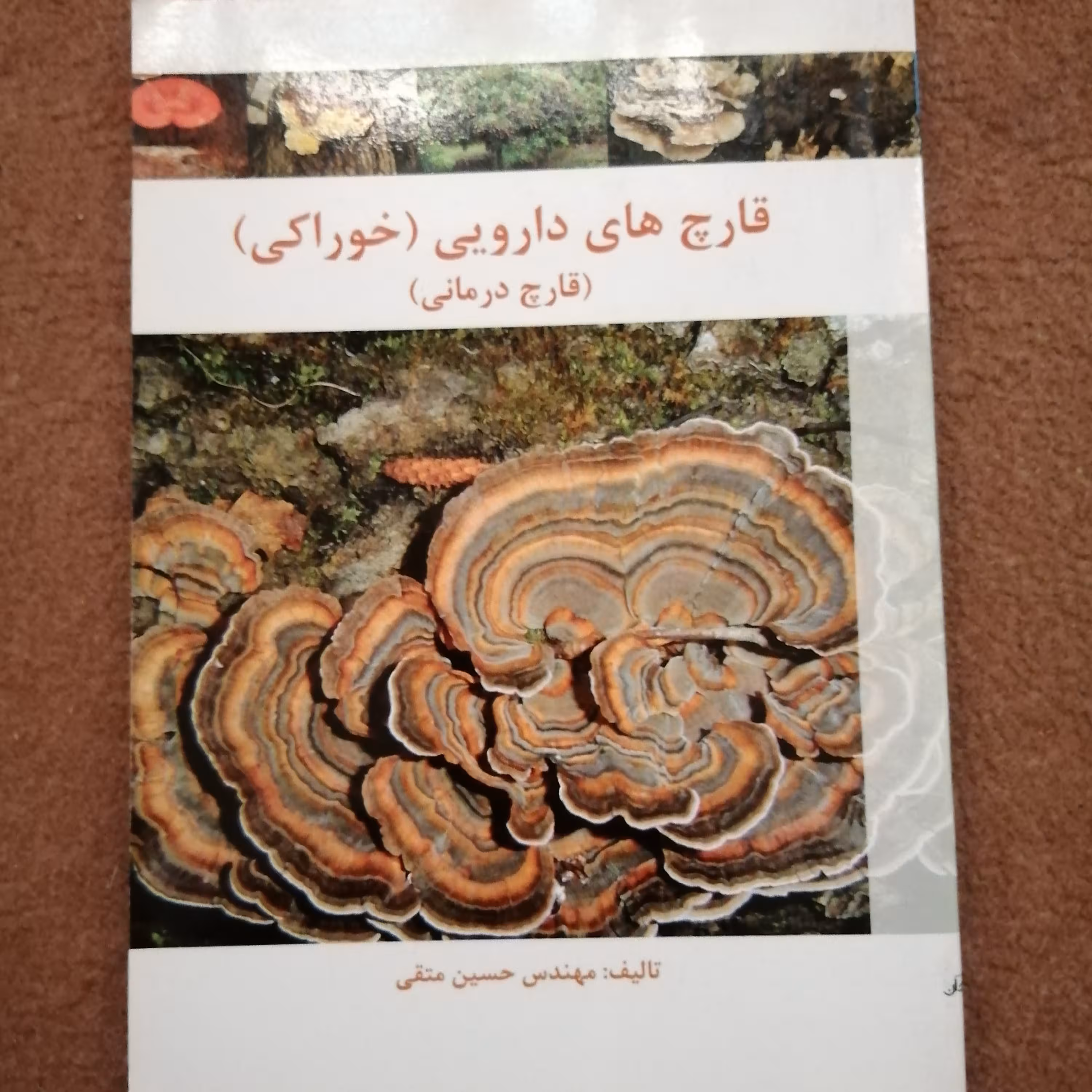 کتاب قارچ خراکی