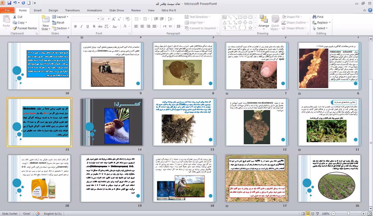 دانلود پاورپوينت نماتد سيست چقندر قند