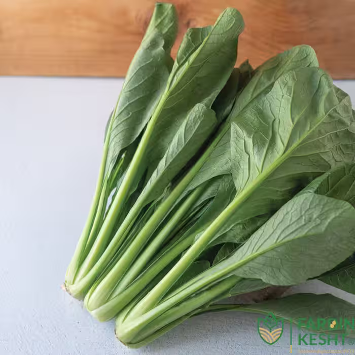 بذر کوماتسونا سبز آمریکایی بسته 30 عددی