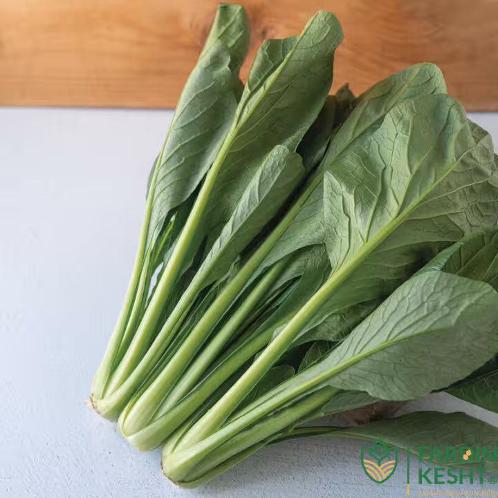 بذر کوماتسونا سبز آمریکایی بسته 30 عددی
