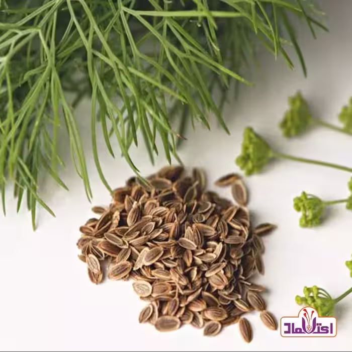 بذر شوید اعلا 100 گرمی اعتماد تازه و سورت | amazonchi