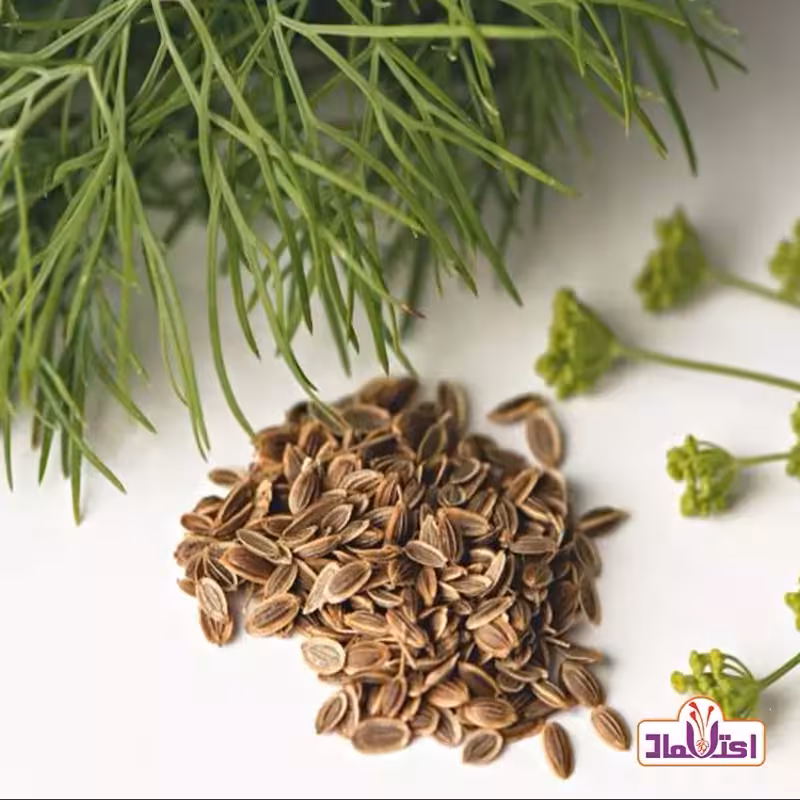 بذر شوید اعلا 100 گرمی اعتماد تازه و سورت | amazonchi