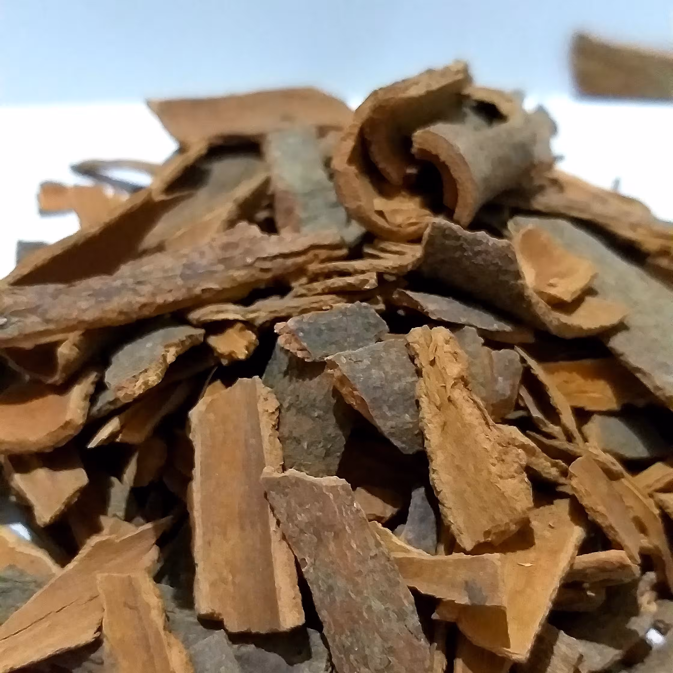 دارچین درشت(500گرمی)