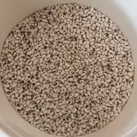 لوبیا چشم بلبلی محلی ممتاز کیلویی 70