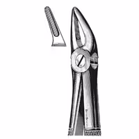 فورسپس ریشه کش زاویه دار دنتال دیوایس | Dental Devices