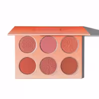 پالت رژگونه فلورال فلاش شیگلم ( SHEGLAM – Floral Flush Blush Palette )