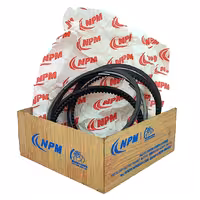 رینگ و پیستون سایز استاندارد جیلی امگرند 7 یورو 5