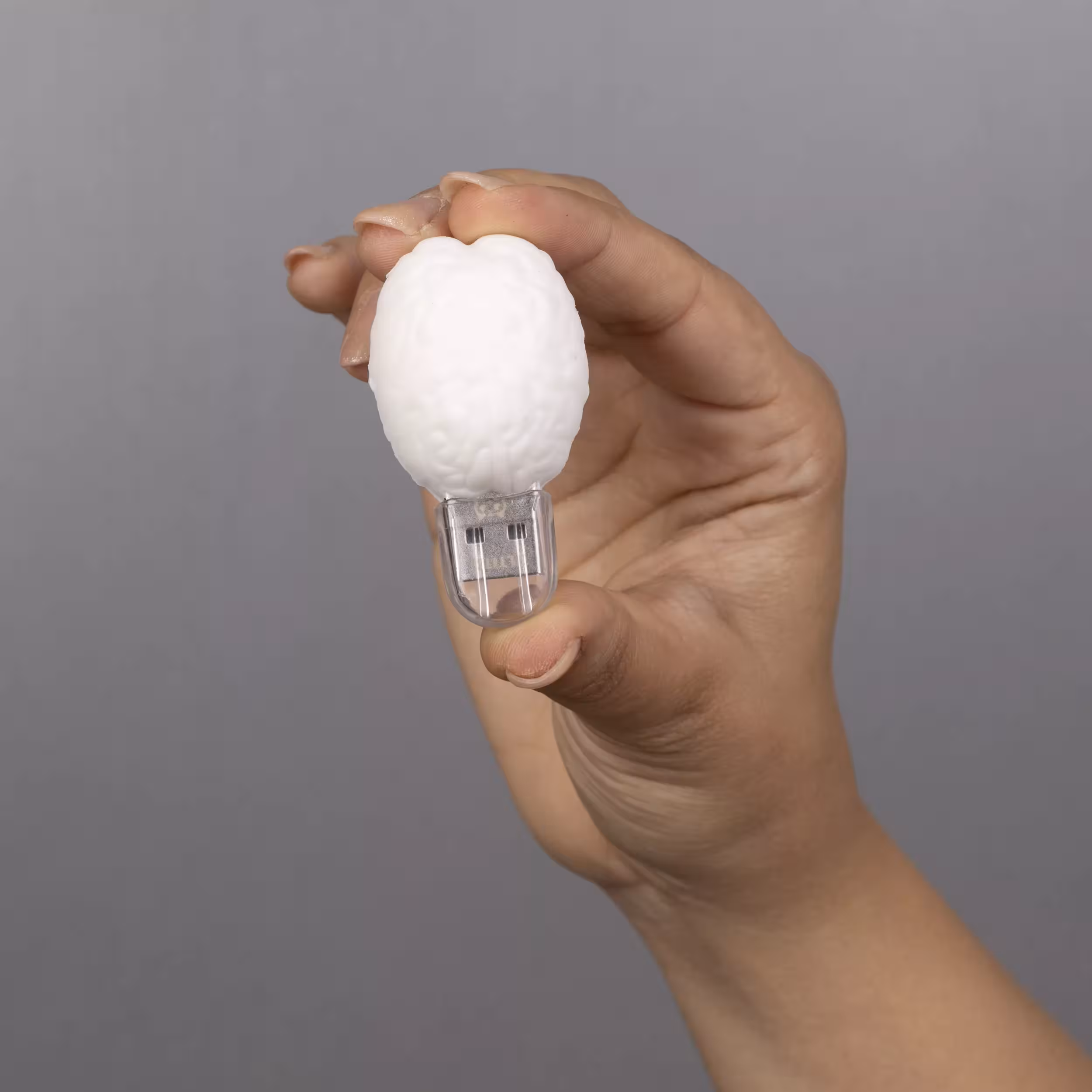 فلش مموری مدل مغز ظرفیت هشت گیگابایت