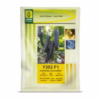 بذر خیار خاردار y353