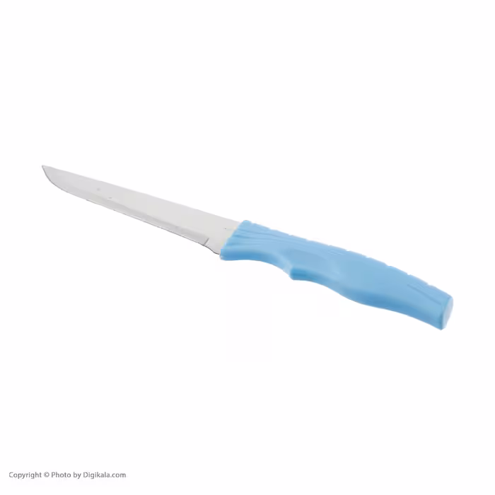 کارد میوه خوری نیو تو زان کد 4836-2 مجموعه 6 عددی