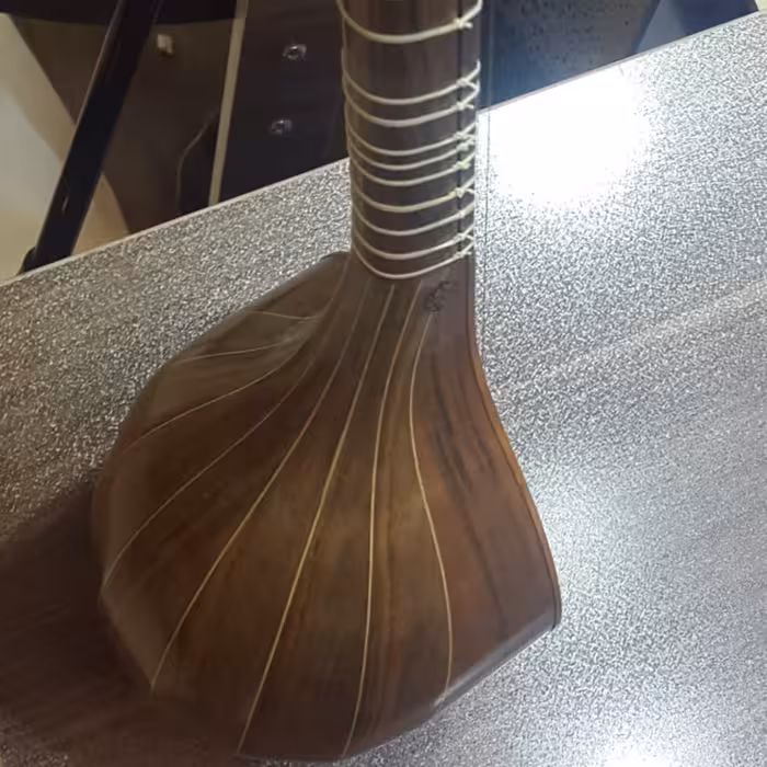 سه تار فرد مدل افرا کد 902