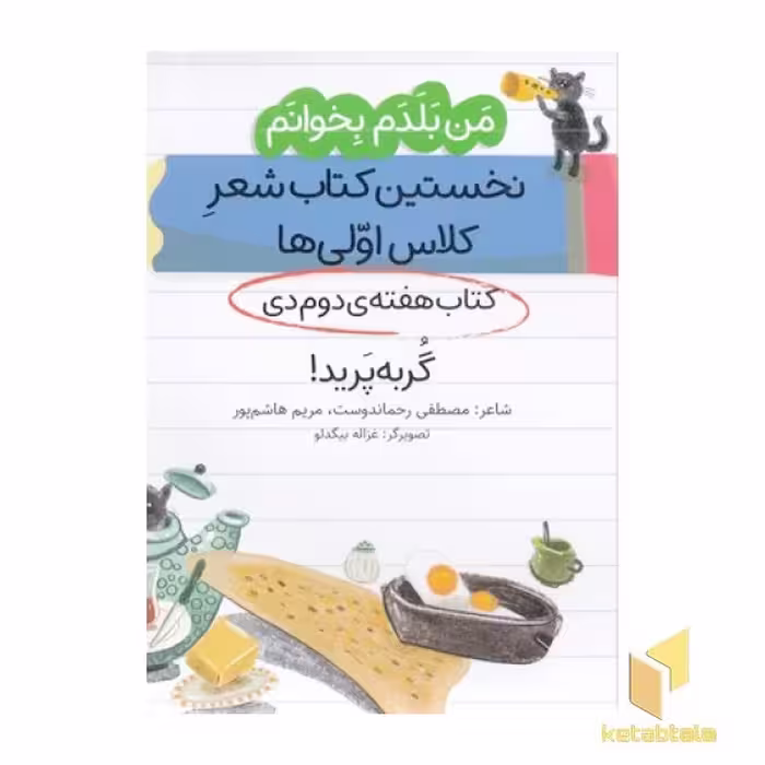 کتاب من بلدم بخوانم کتاب دوم دی گربه پرید اثر مصطفی رحماندوست و مریم هاشم پور نشر پیدایش