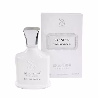 عطر جیبی  برندینی مدل Silver Mountain حجم 33 میلی لیتر