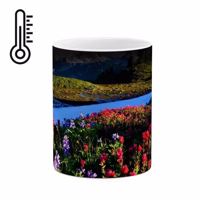 خرید ماگ-لیوان حرارتی   طبیعت کد mgh10723