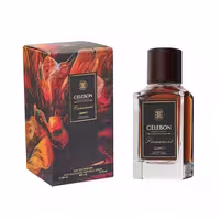 ادو پرفیوم مردانه سلبون مدل FIRMAMENT حجم 100 میلی لیتر CELEBON FIRMAMENT Eau De Parfum for Men