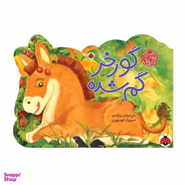 کتاب گور خر گم شده اثر علی اصغر سید آبادی نشر شهر قلم