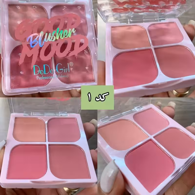 رژگونه 4 تایی مدل پروانه ای برند دودو گرل