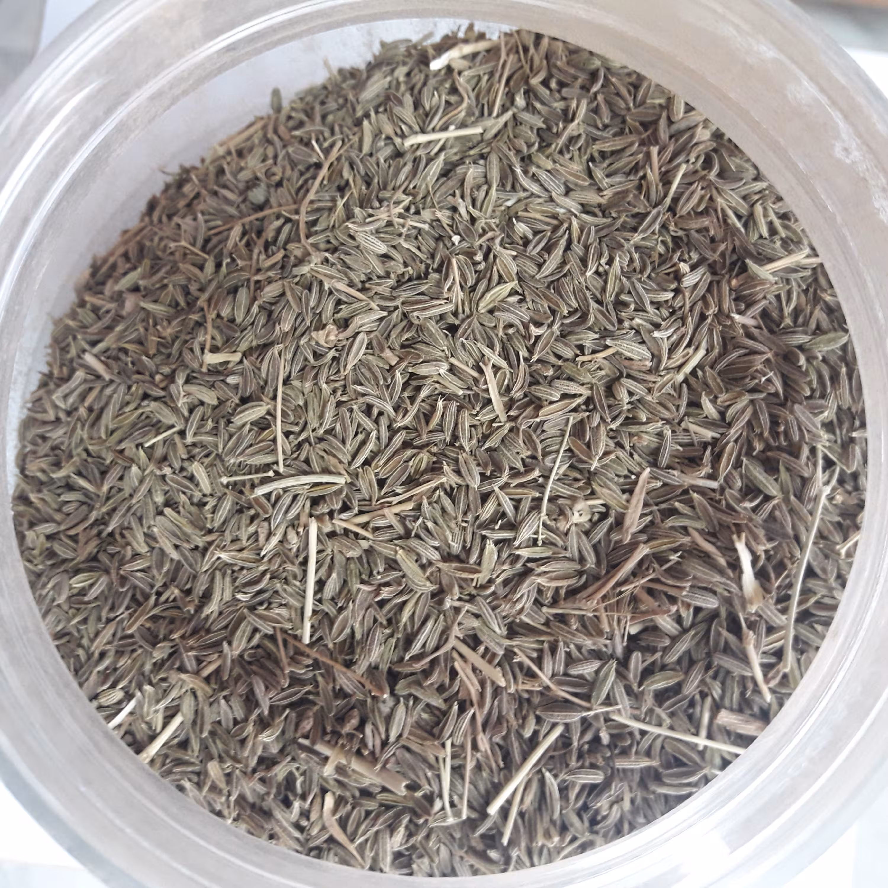 زیره سبز محلی روستای خضری (بسته 500 گرمی)