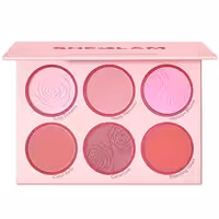 پالت رژگونه 6 رنگ شیگلم