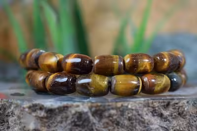 رشته چشم ببر