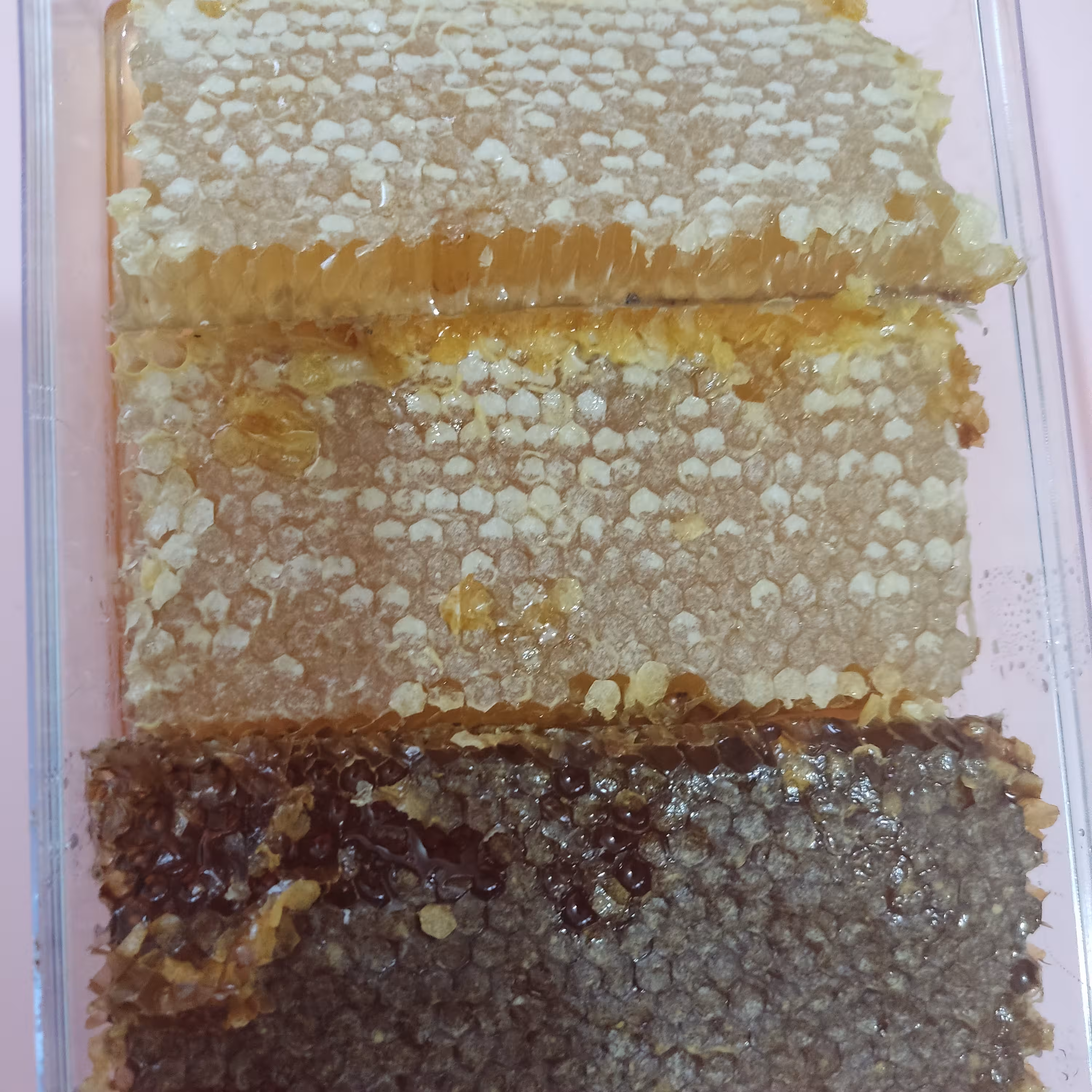 عسل طبیعی درمانی کوهستان کاملا ارگانیک 1000گرمی