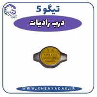 درب رادیاتور چری تیگو 5