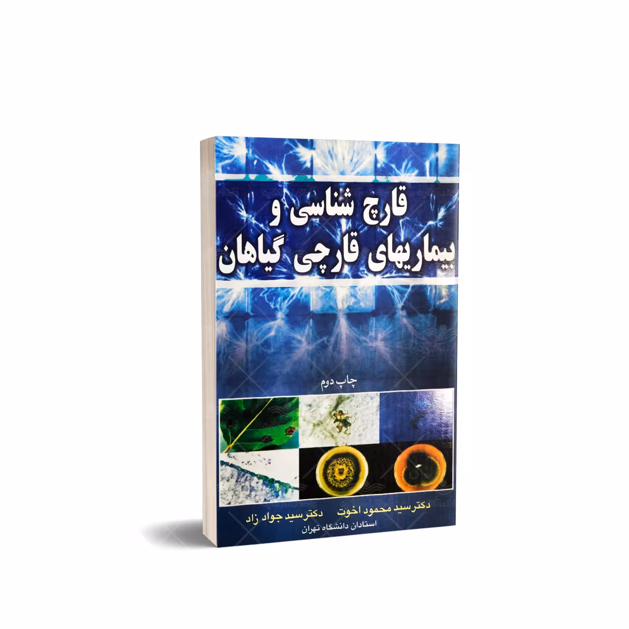 کتاب قارچ شناسی و بیماری های قارچی گیاهان