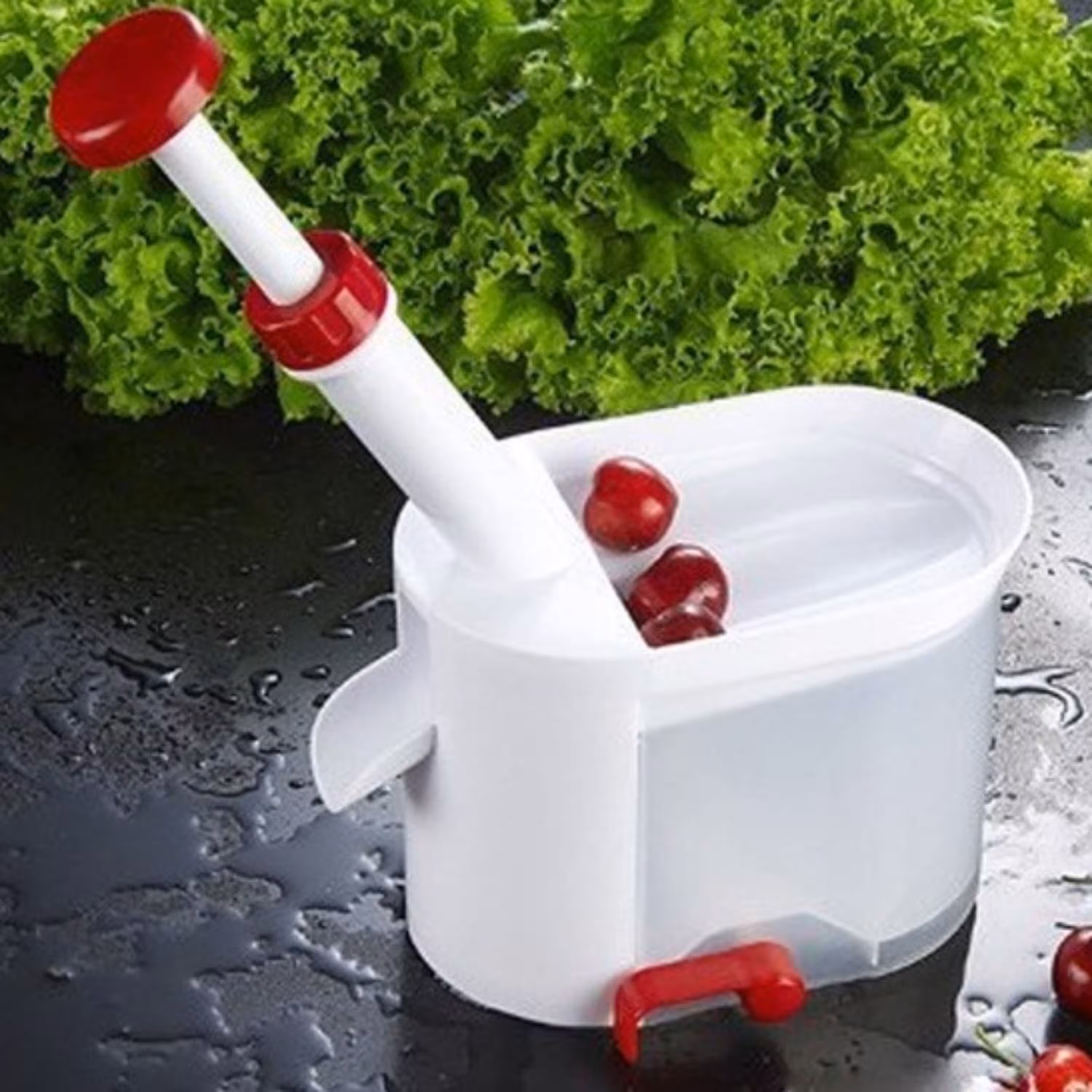 هسته گیر آلبالو