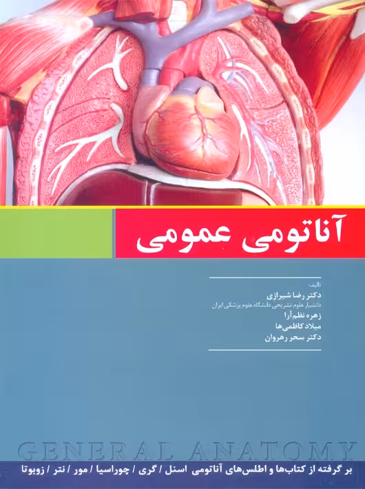 آناتومی عمومی شیرازی اندیشه رفیع