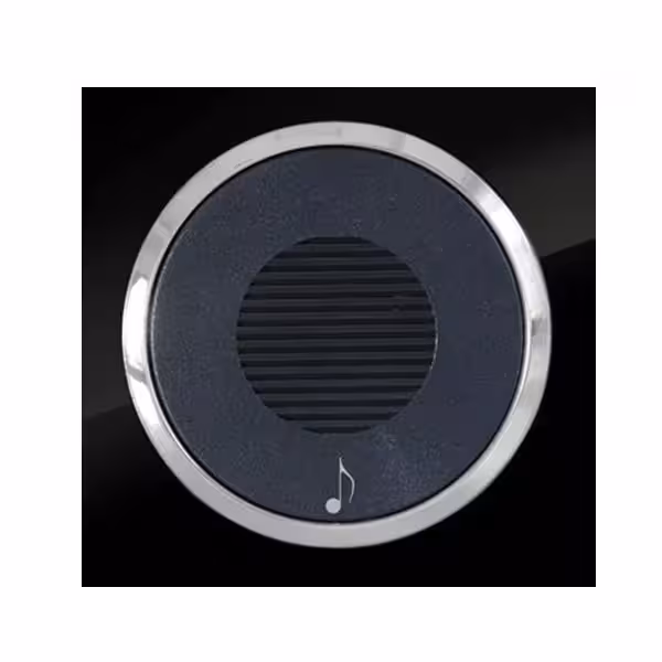 زنگ ملودی آوا پلکسی مشکی زه نقره ای دلند