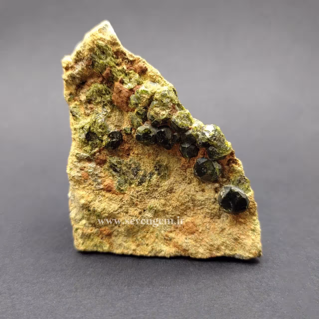 راف گارنت سبز (کد72)