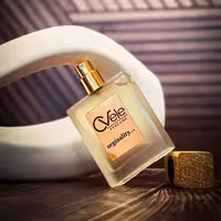عطر ادکلن باربری گادس (نسخه سیوله)