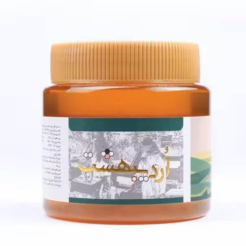 عسل درمانی چند گیاه دشت 500 گرمی( لذت خرید عسل از زنبوردار)