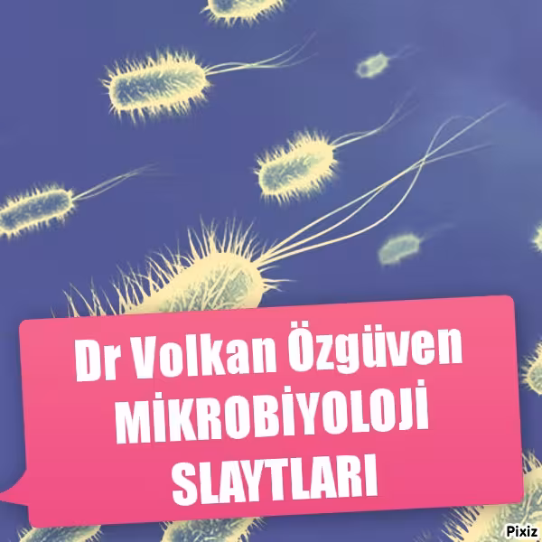 خرید و دانلود نسخه کامل کتاب Mikrobiyoloji Slaytları