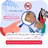 ماگ حس آمیزی طرح عکاسی مدل دل ناز 